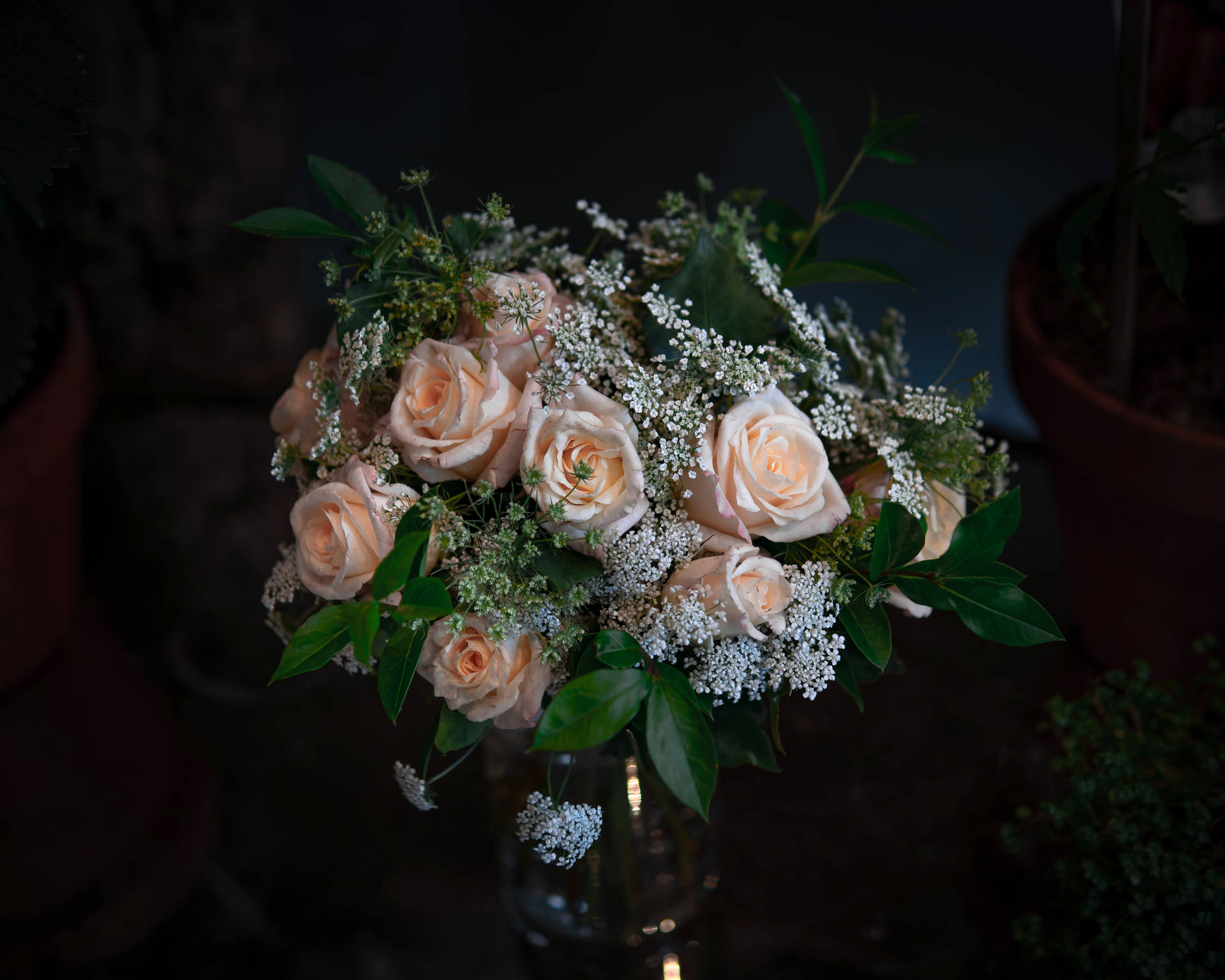 Black Aesthetic Rose Flowers In Vase Background