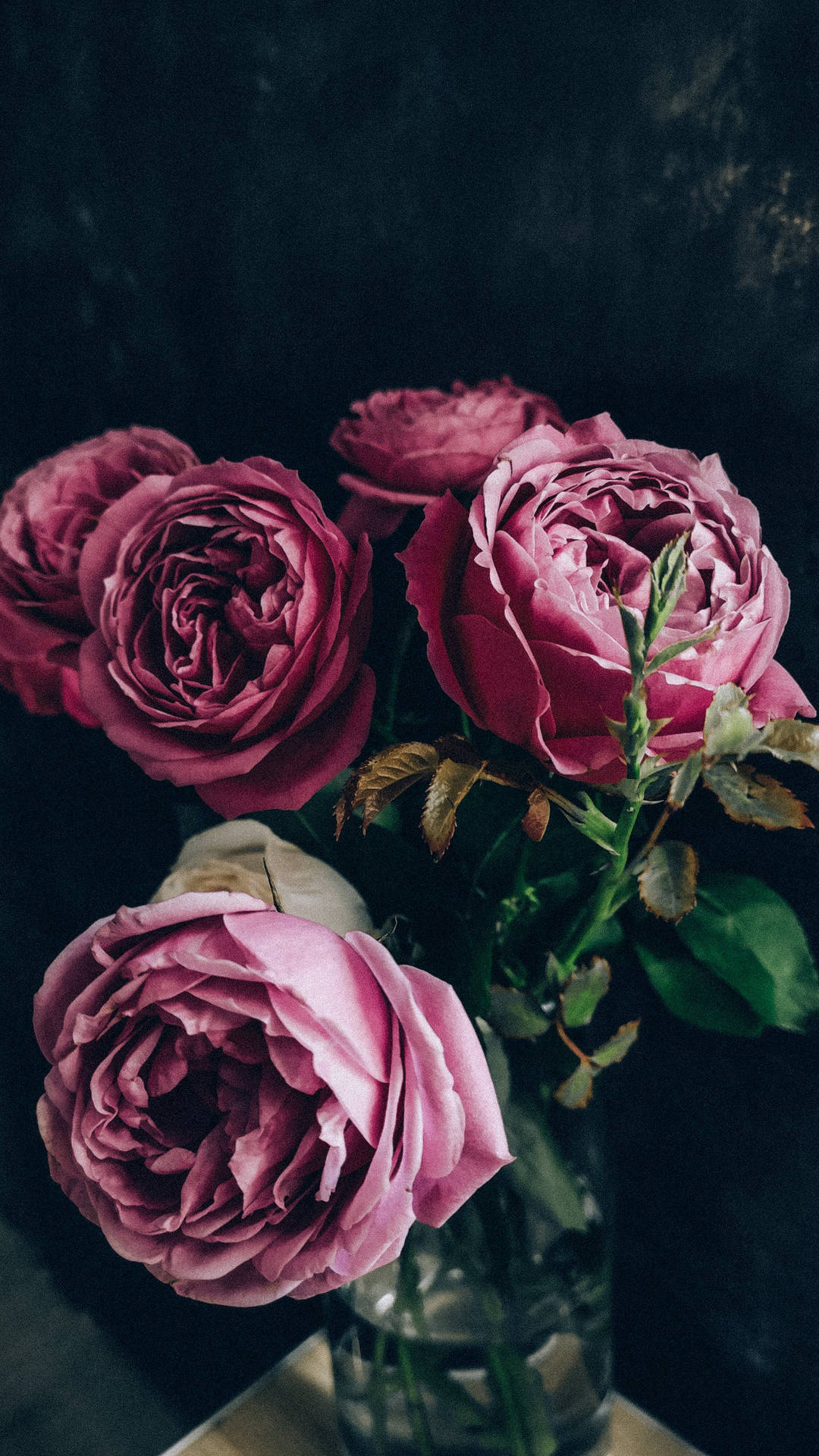 Black Aesthetic Rose In Vase Background