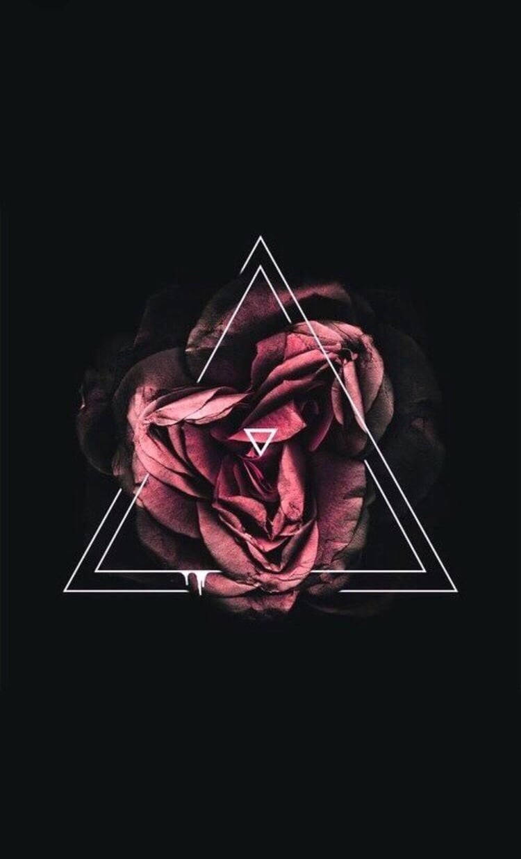 Black Aesthetic Rose Triangle Background