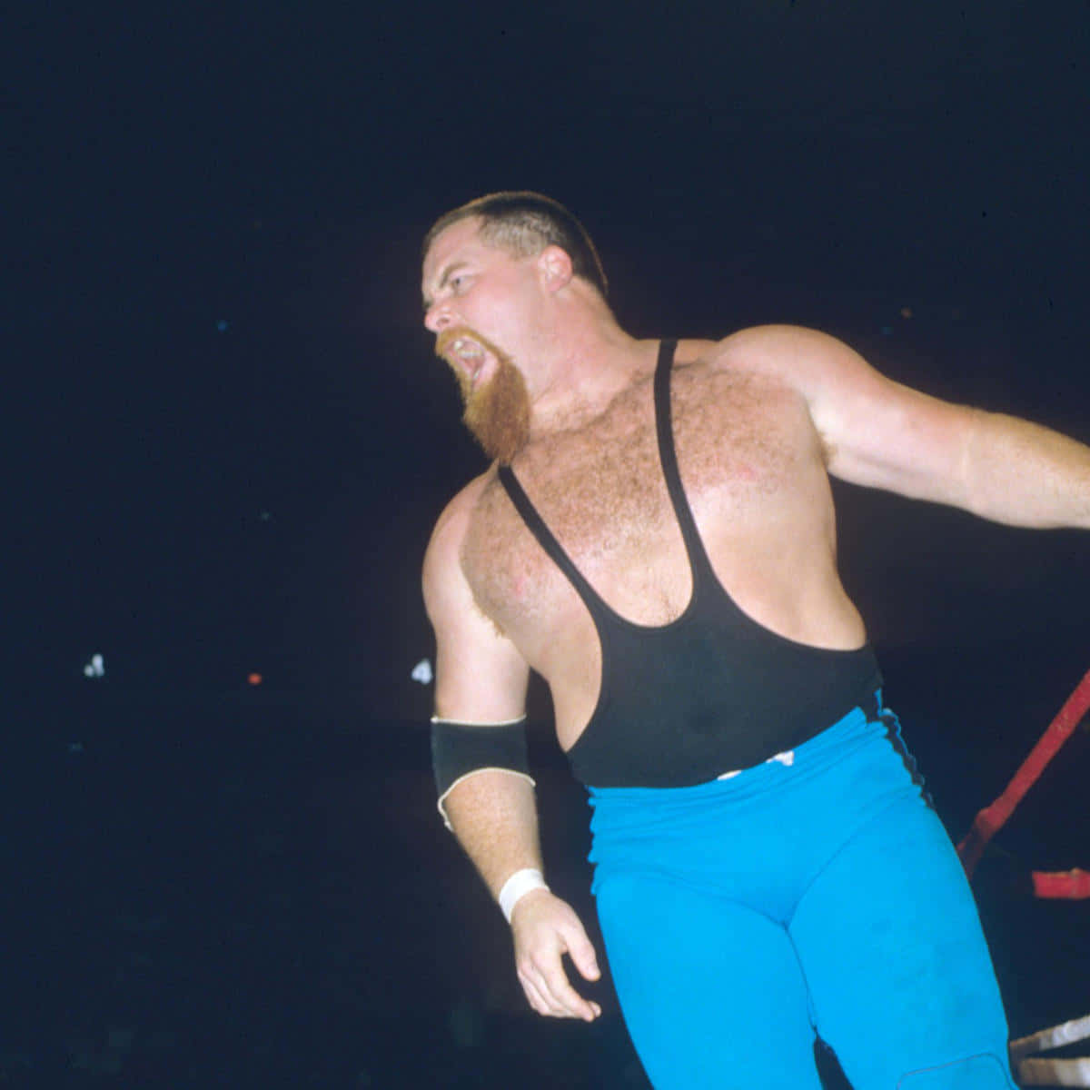 Black And Blue Jim Neidhart Background