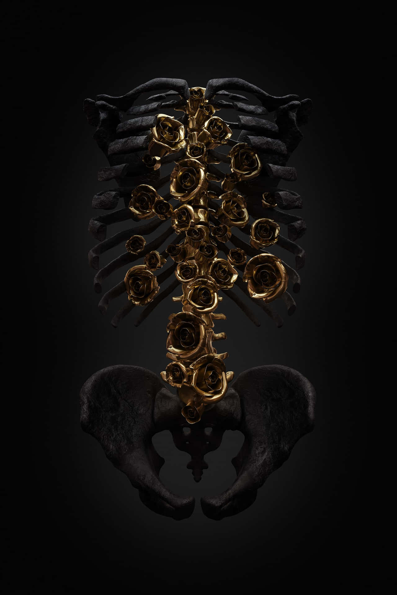 Black And Gold Aesthetic Accessory Background