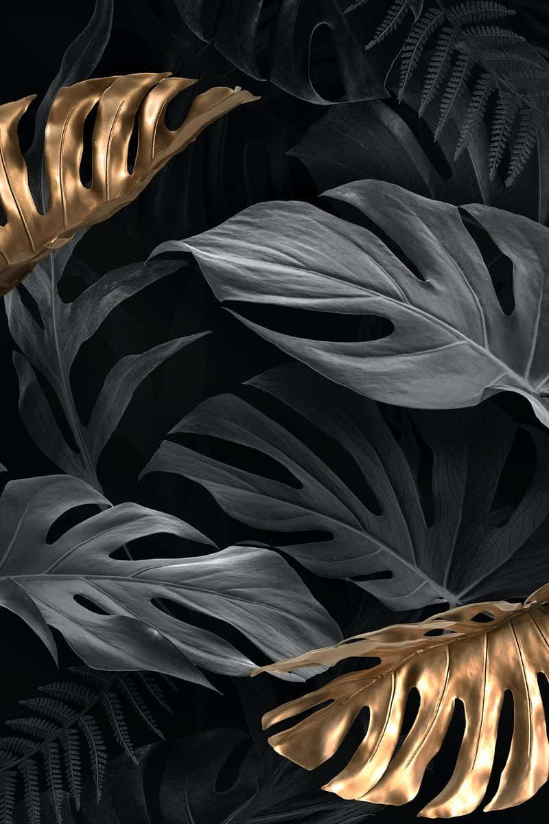 Black And Gold Aesthetic Leaves Background