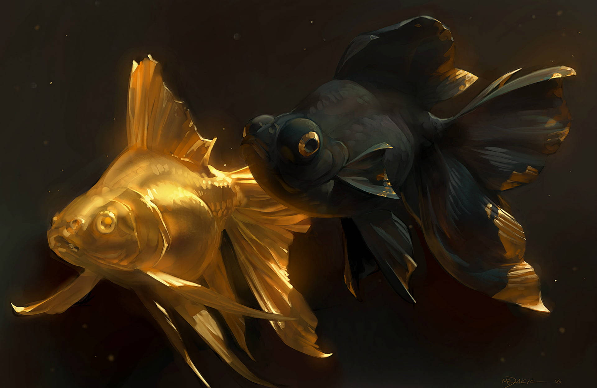 Black And Golden Koi Fish Background