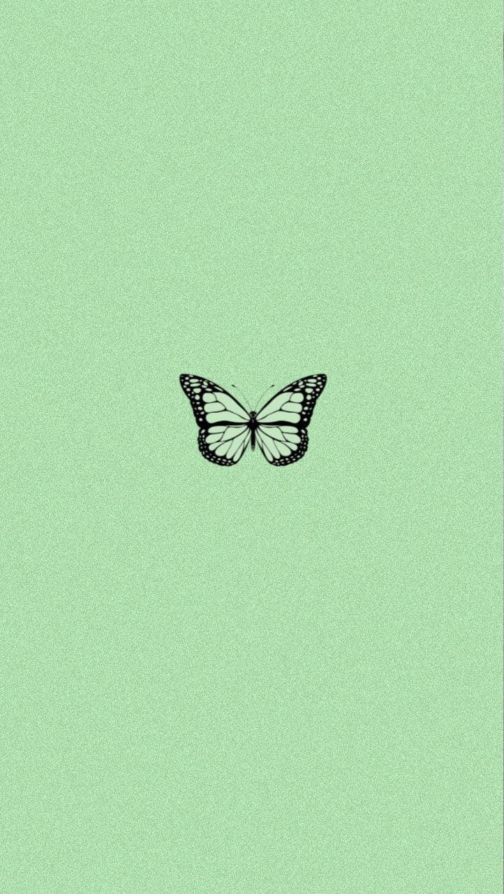 Black And Green Butterfly Background Background