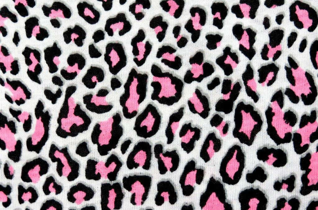 Black And Pink Cute Cheetah Print Background