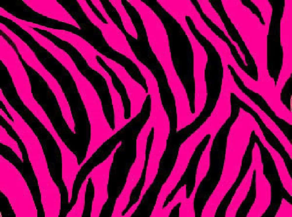 Black And Pink Zebra Background Background