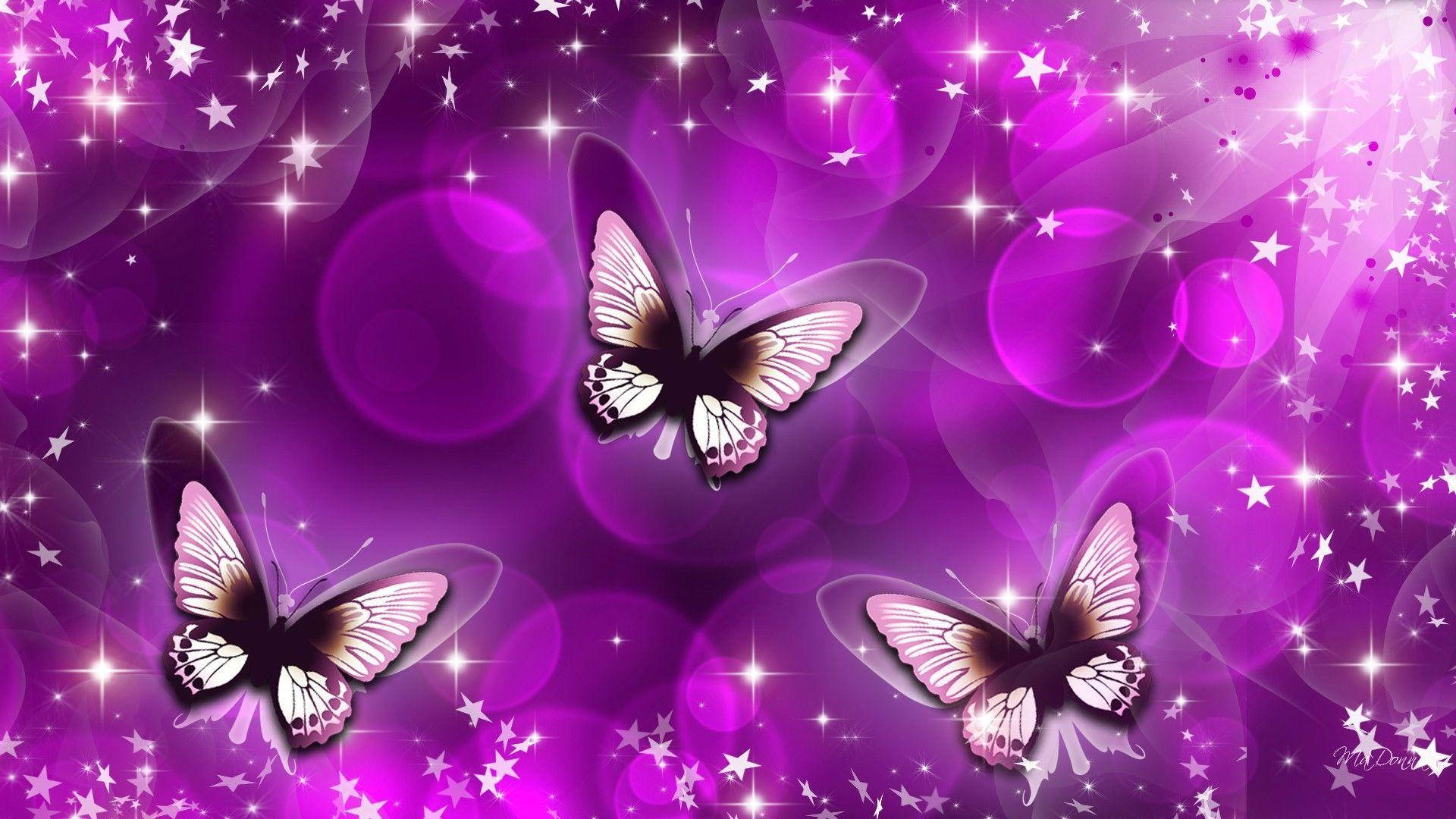 Black And Purple Butterfly Digital Artwork Background