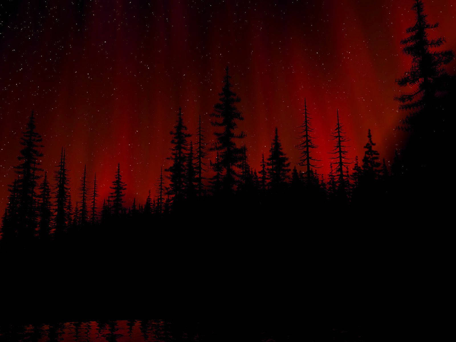 Black And Red Forest Wth Trees Background