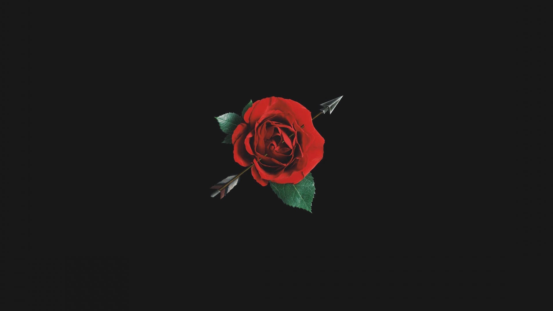 Black And Red Rose With Arrow Background