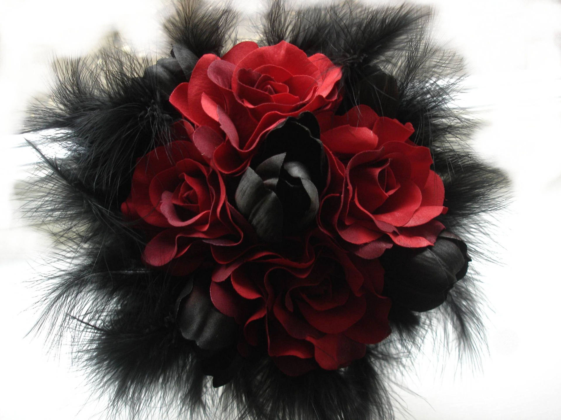 Black And Red Roses Dark Hd Flowers Background