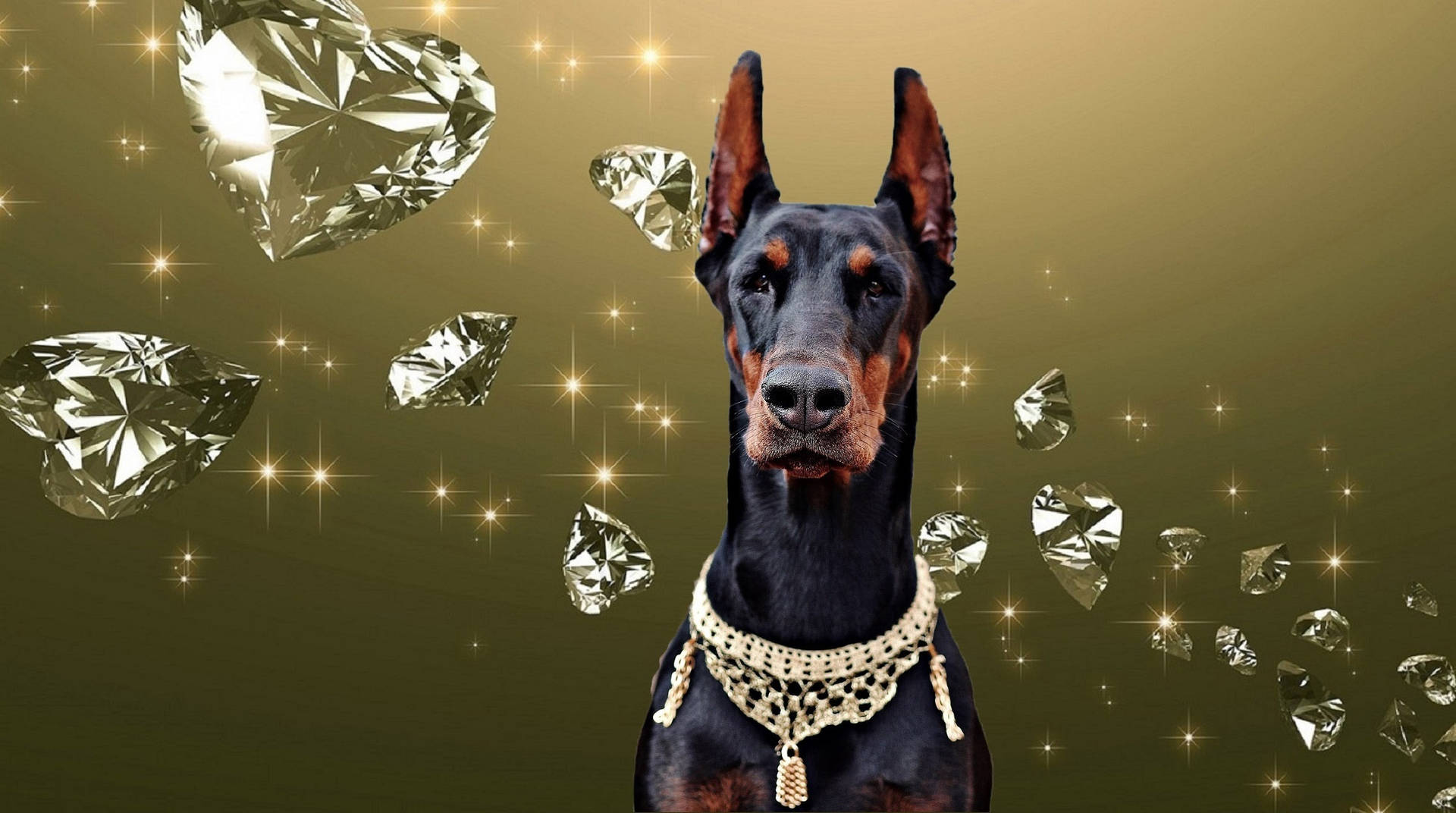 Black And Tan Doberman Pinscher With Diamonds Background