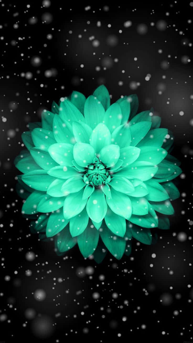 Black And Teal Flower