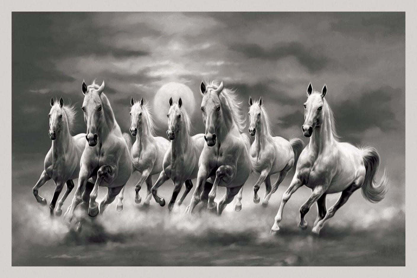 Black And White 7 White Horses Background