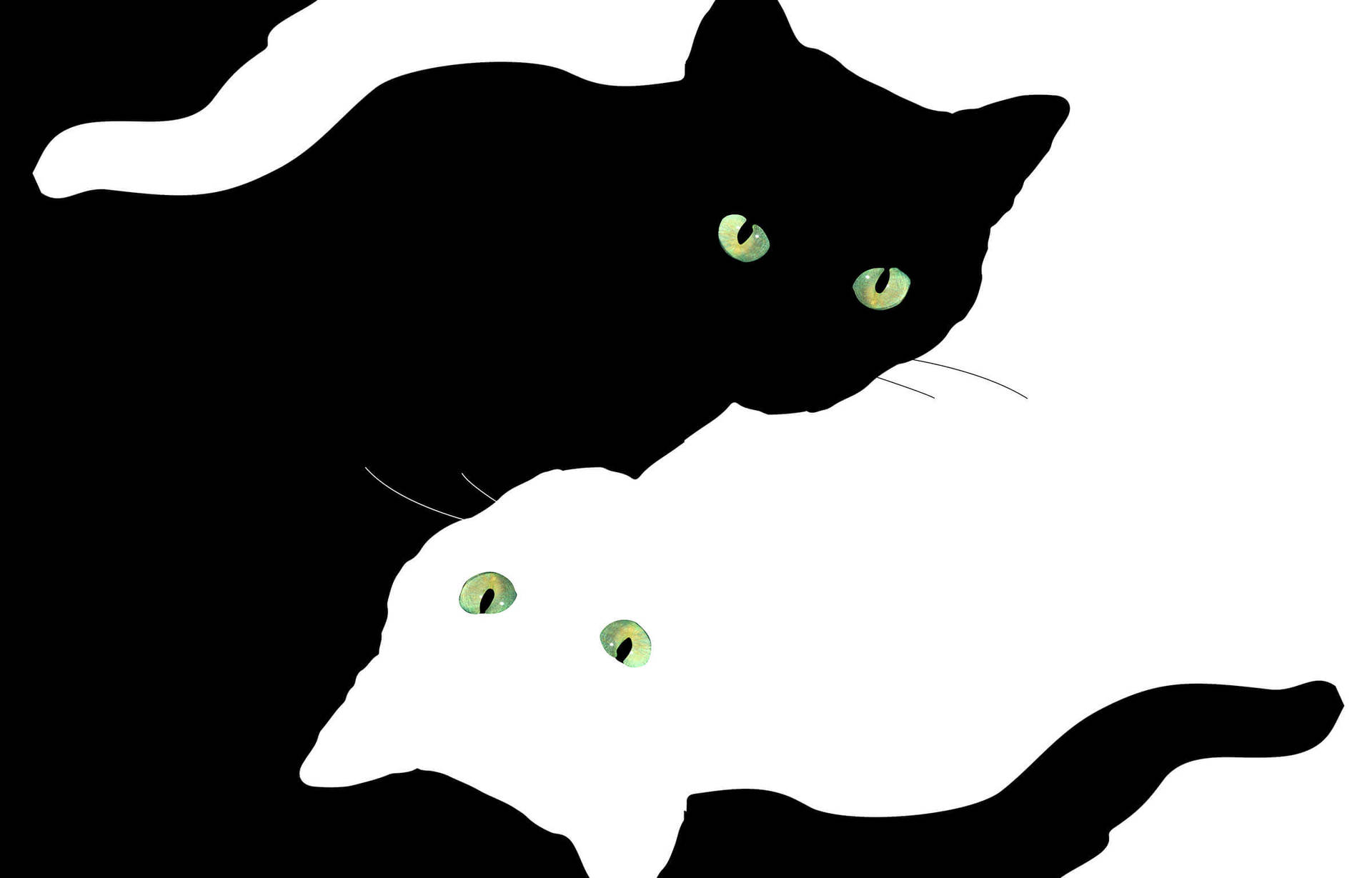 Black And White Aesthetic Illusion Cats Background