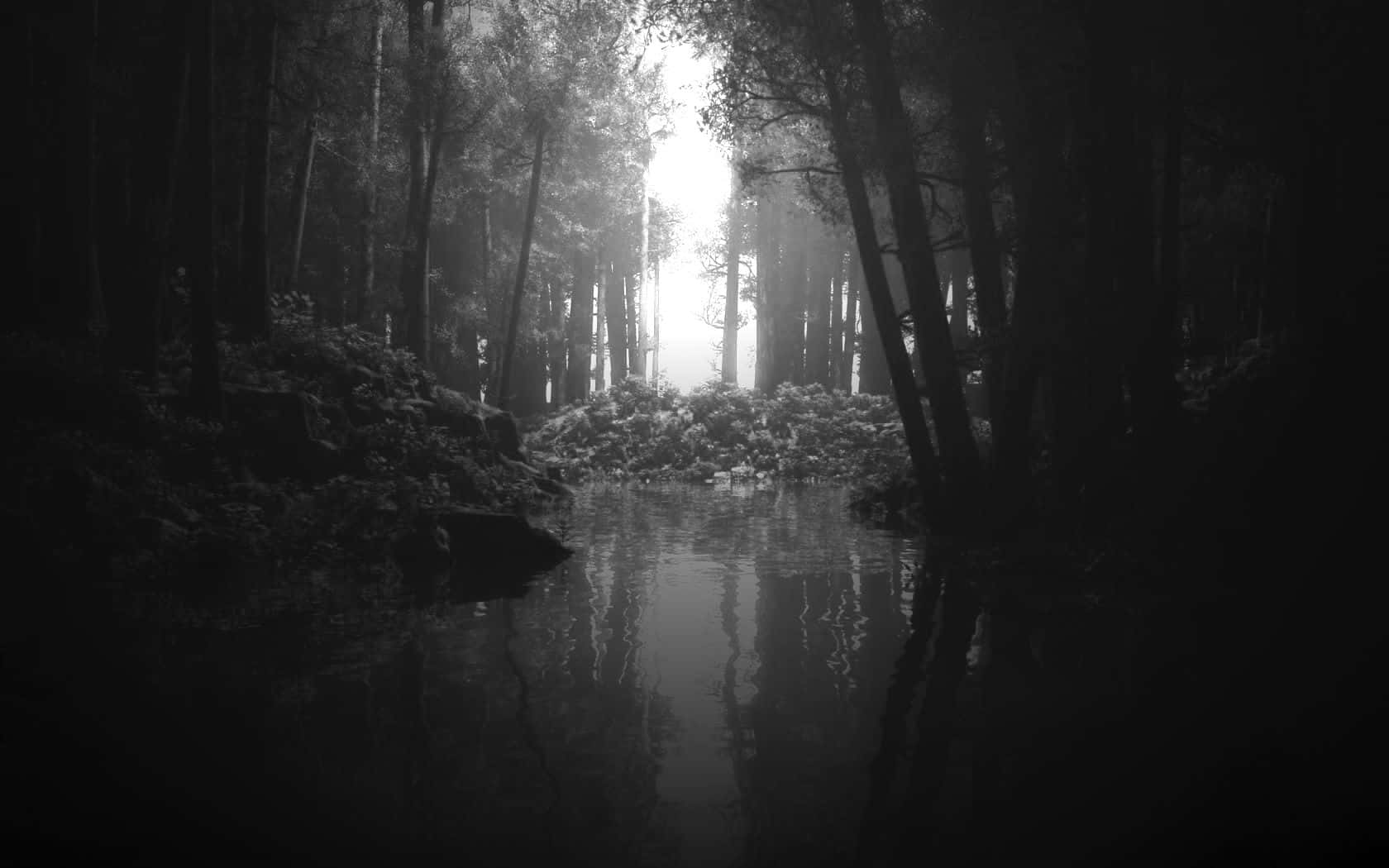 Black And White Aesthetic Pc Forest Background