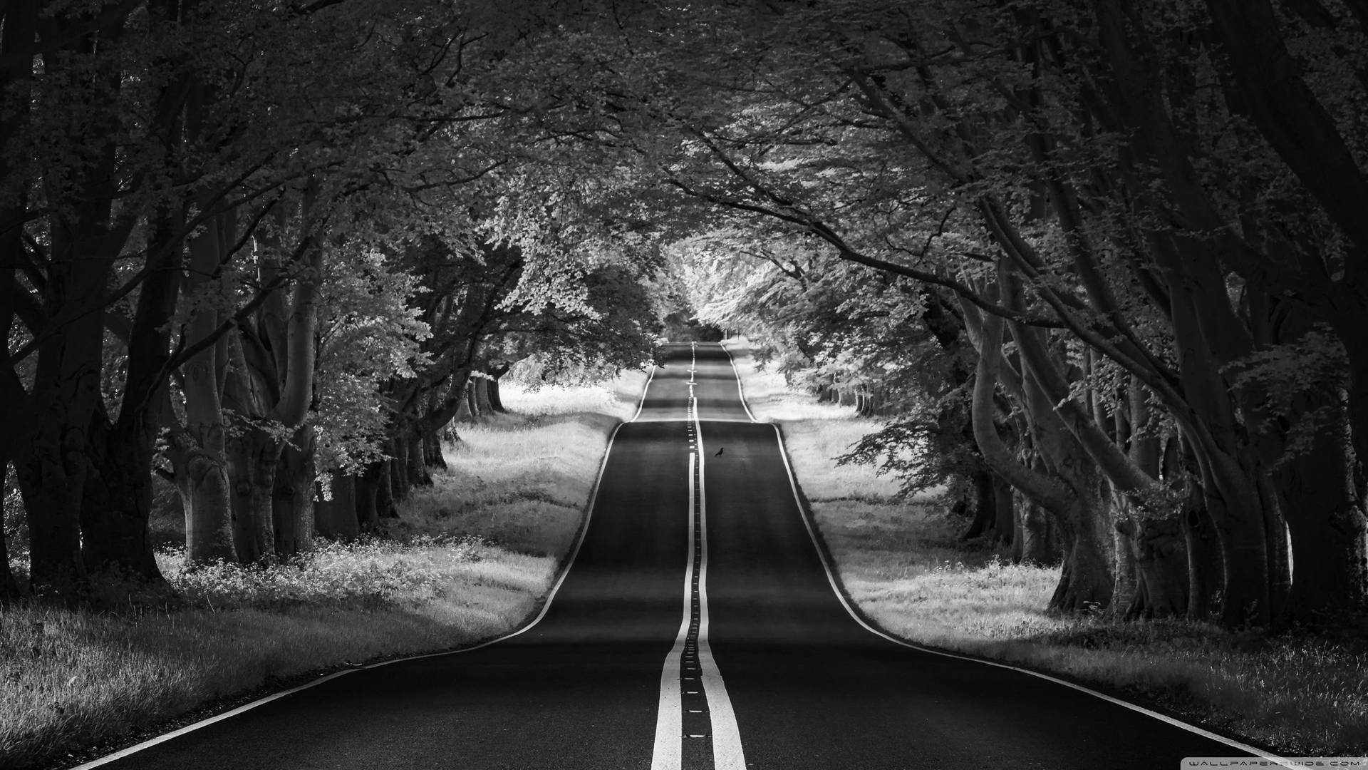 Black And White Aesthetic Symmetrical Road Background