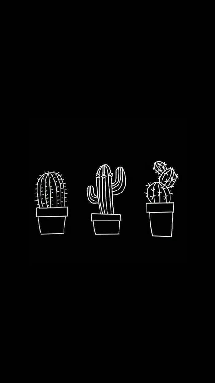 Black And White Aesthetic Three Cacti Background