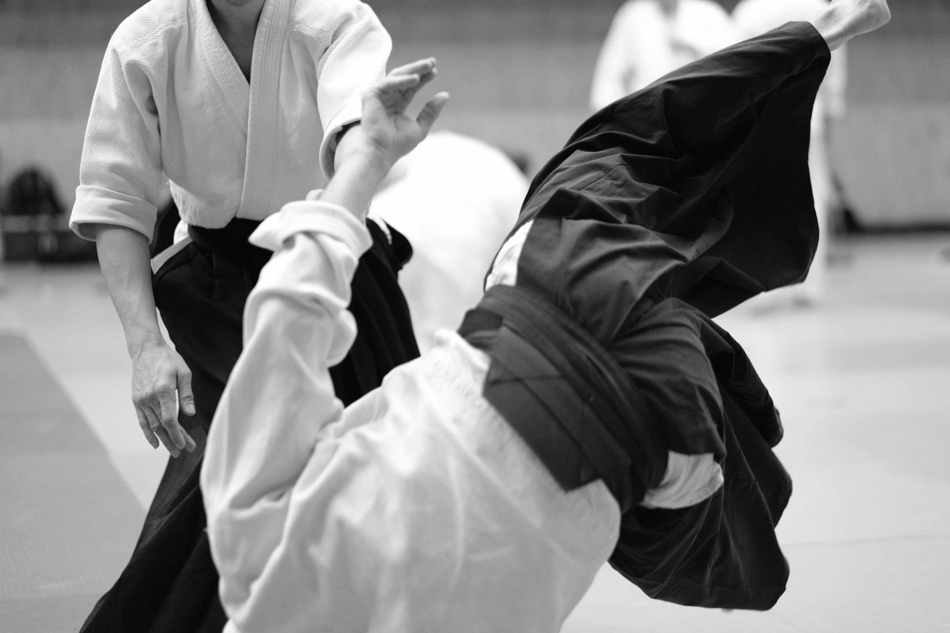 Black And White Aiki Nage Aikido Technique Background