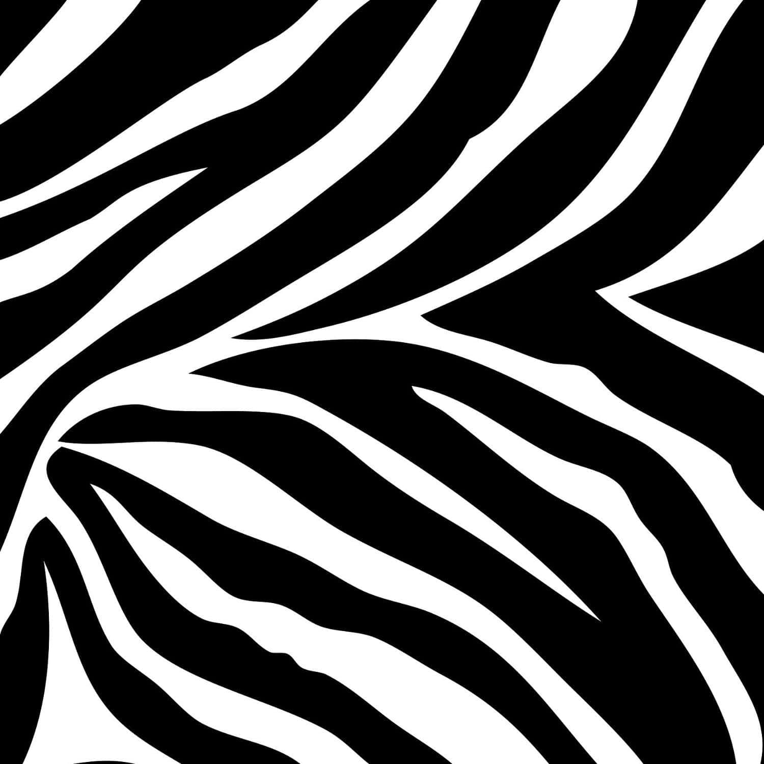 Black And White Animal Print - Taking Style To The Wild Background