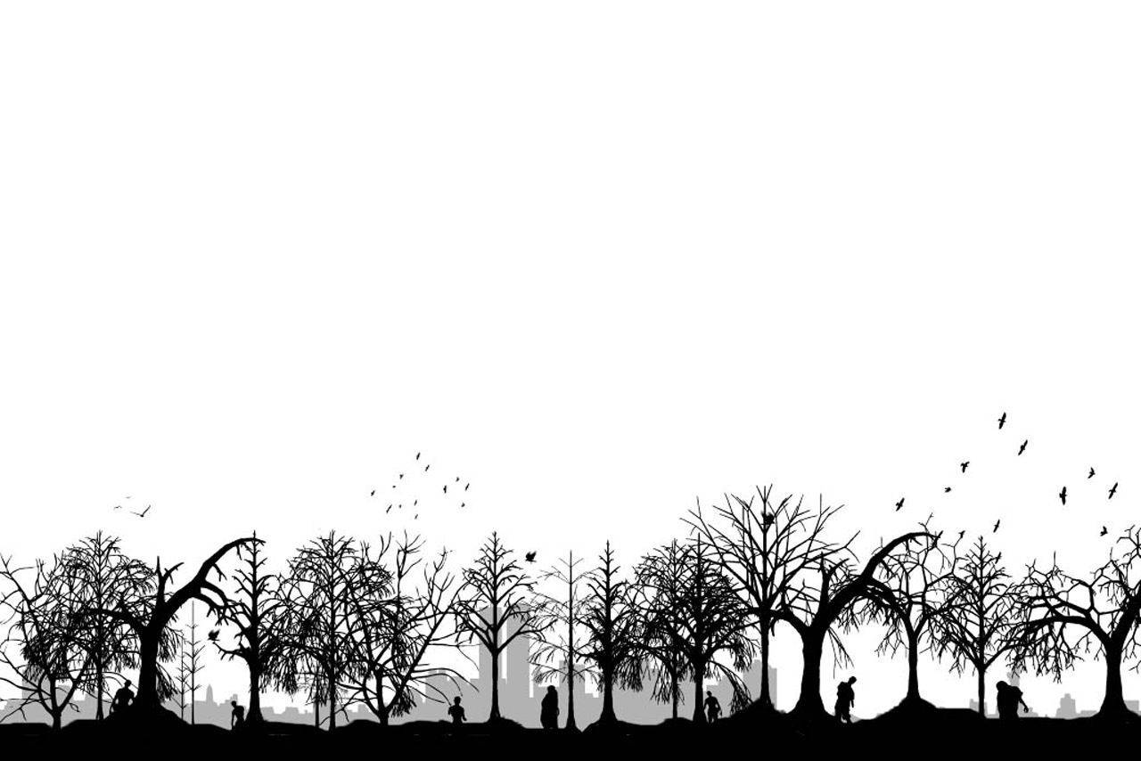 Black And White Anime Aesthetic Trees