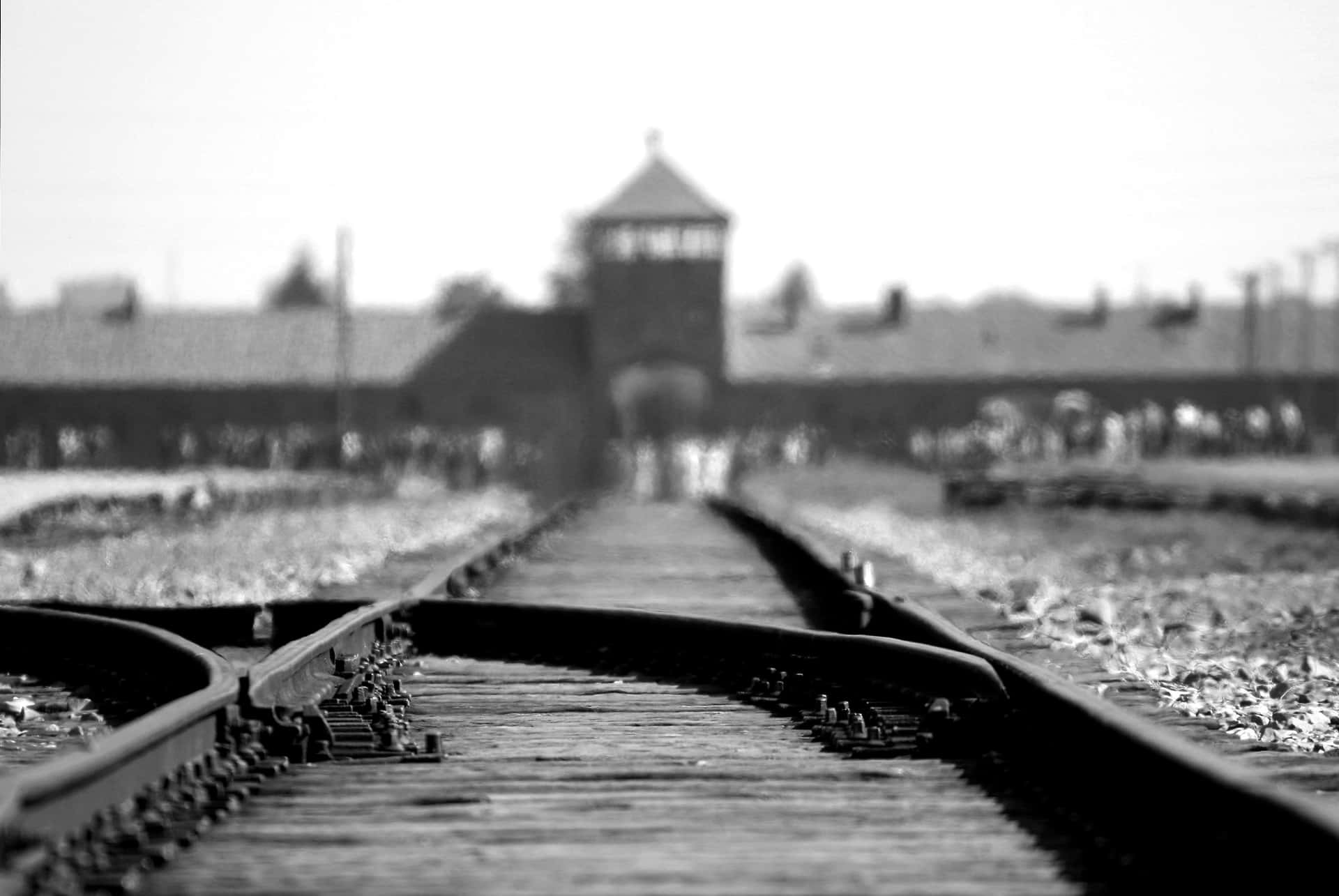Black And White Auschwitz Concentration Camp Background