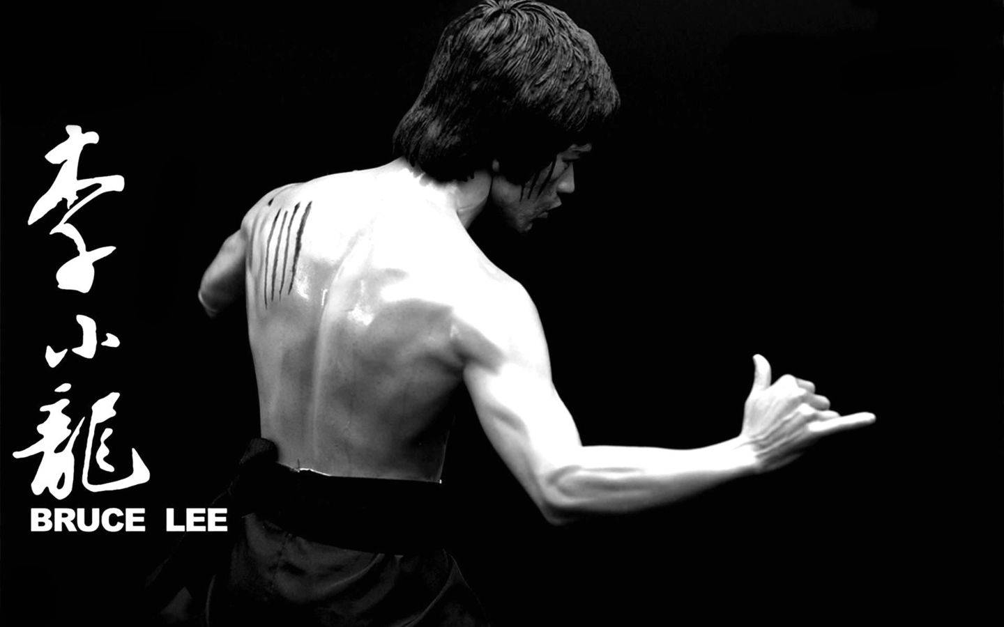 Black And White Bruce Lee Background