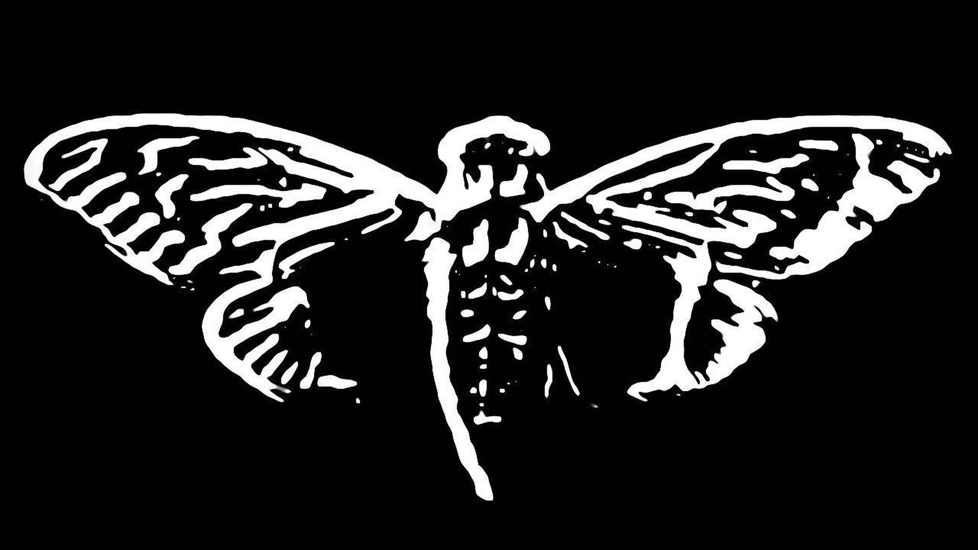 Black And White Cicada Background