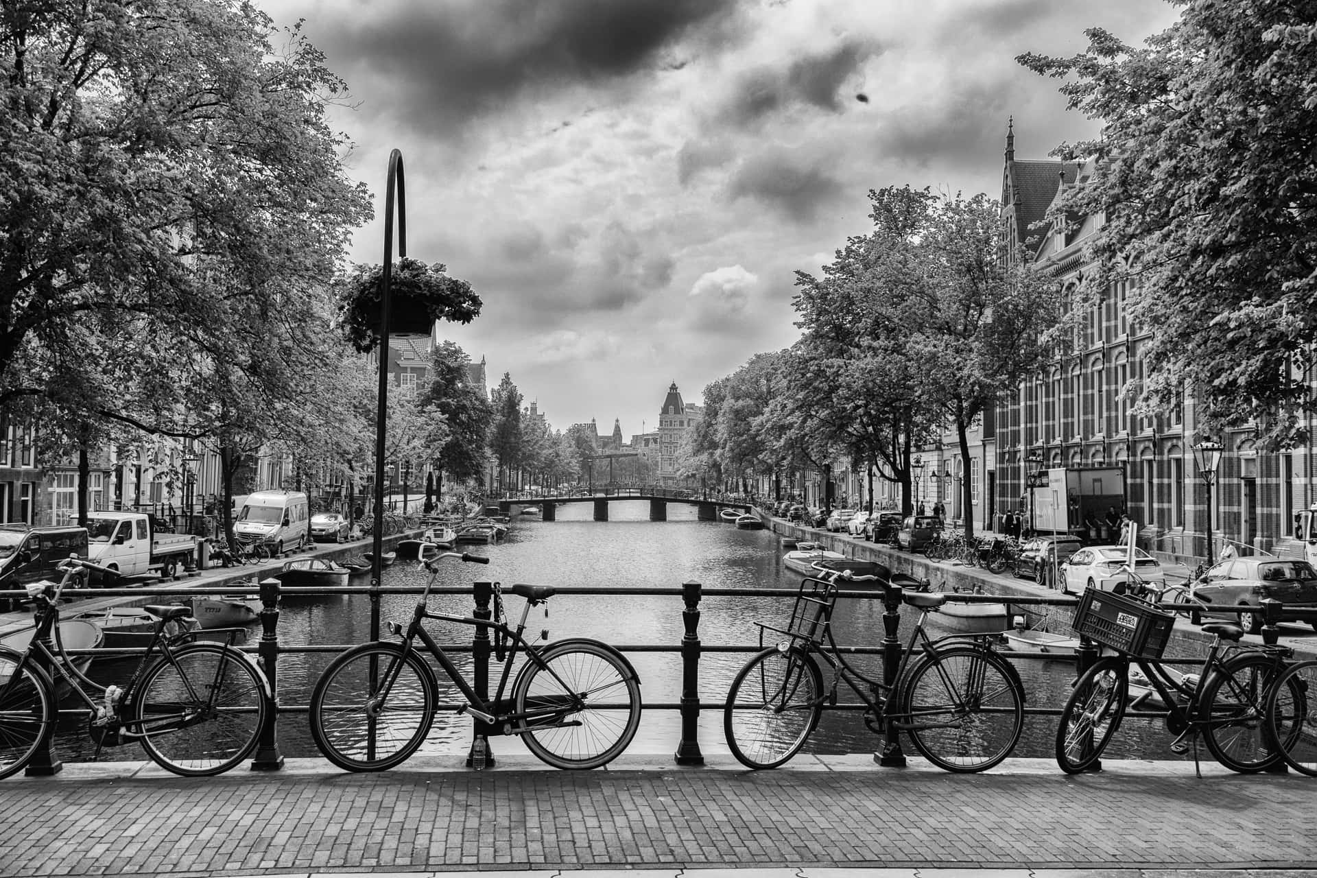 Black And White City Bicycles Background