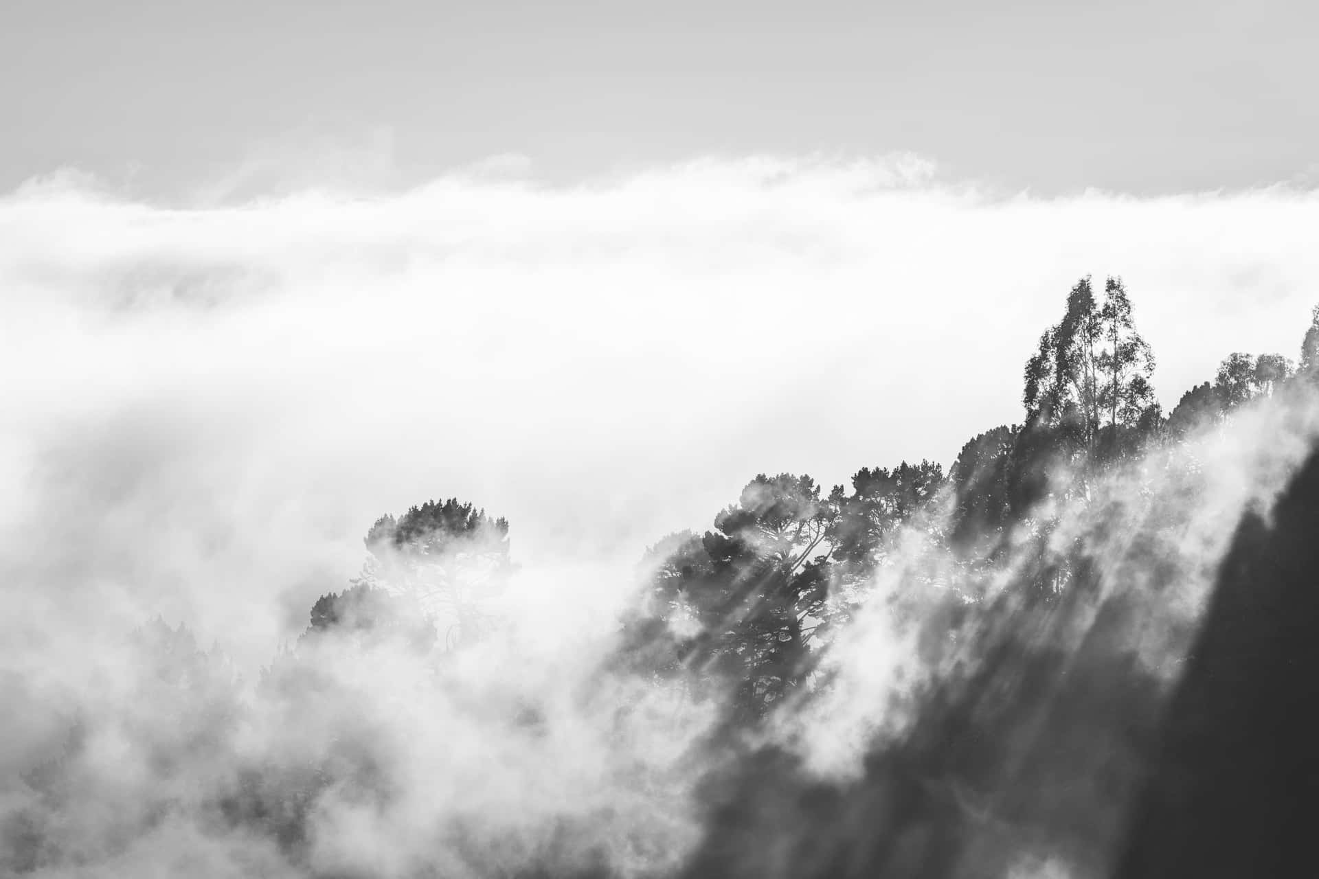 Black And White Cloud Dense Fog Background