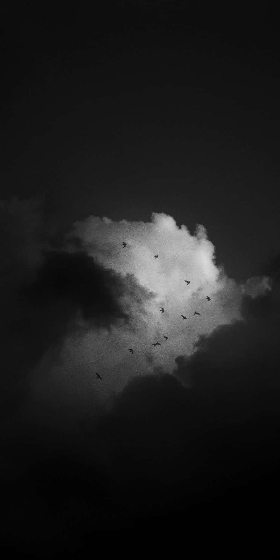 Black And White Cloud Flying Birds Background