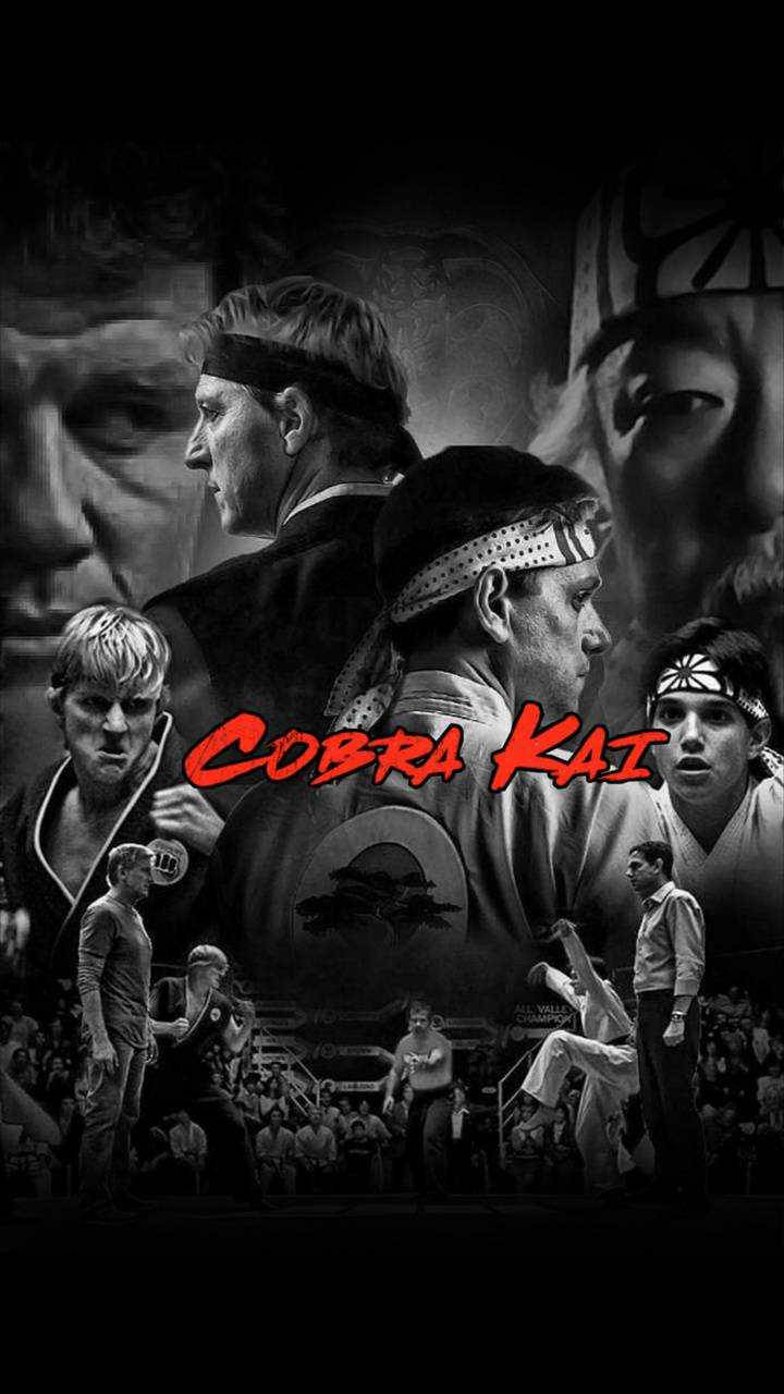 Black And White Cobra Kai Phone Background