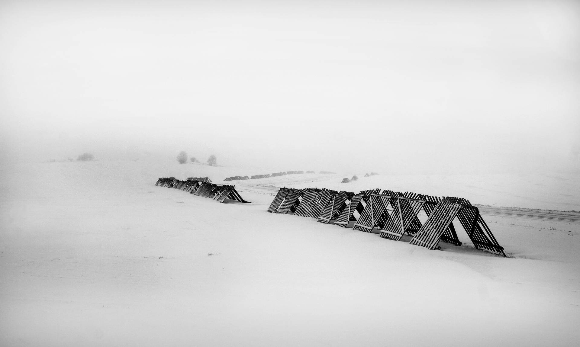 Black And White Cold Photography Background