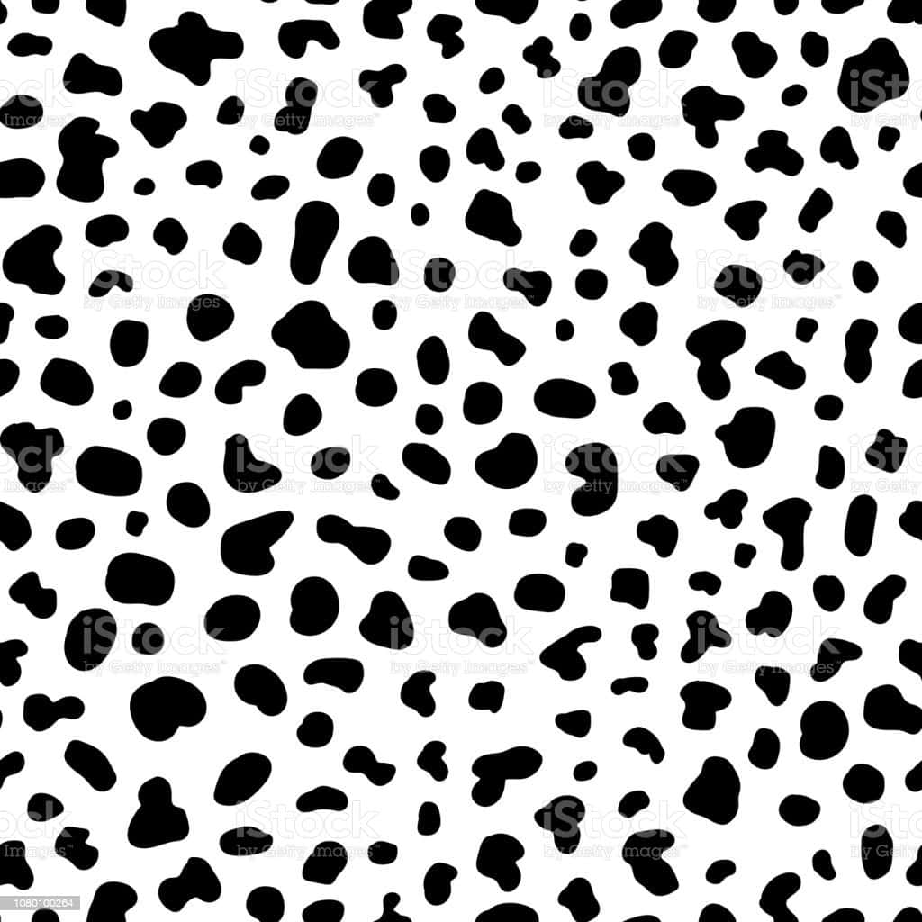 Black And White Cow Print Pattern Background