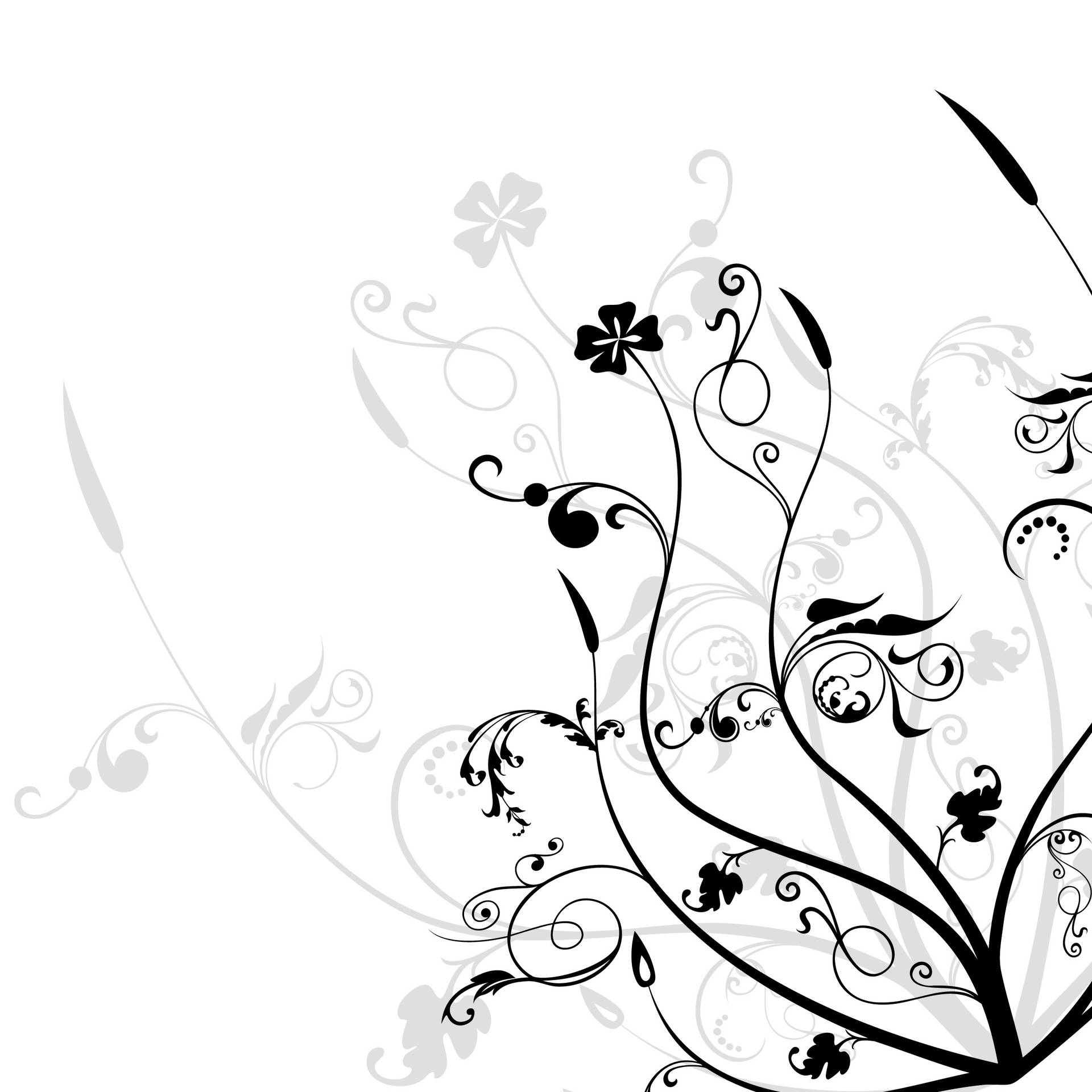 Black And White Flower 2d Artwork Stems