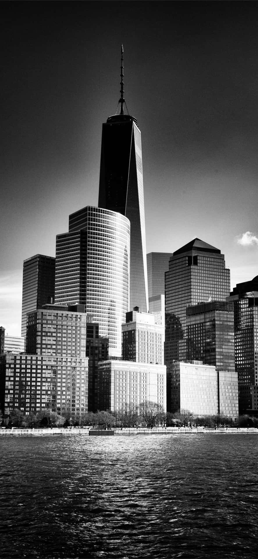 Black And White Freedom Tower Photograph Background