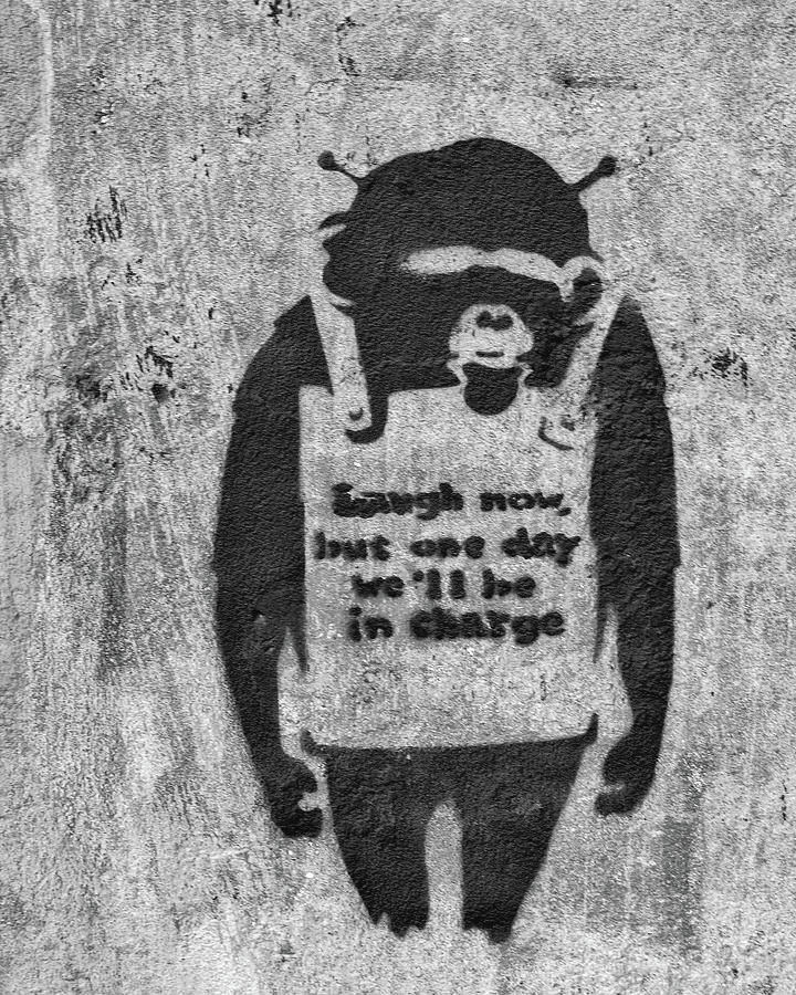 Black And White Graffiti Monkey Laugh Now By Banksy Background