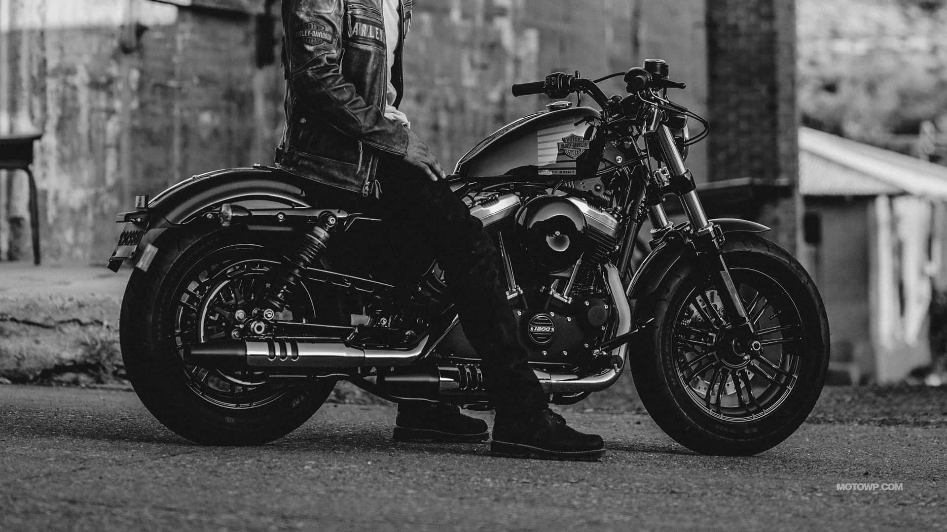 Black And White Harley Davidson Hd Background