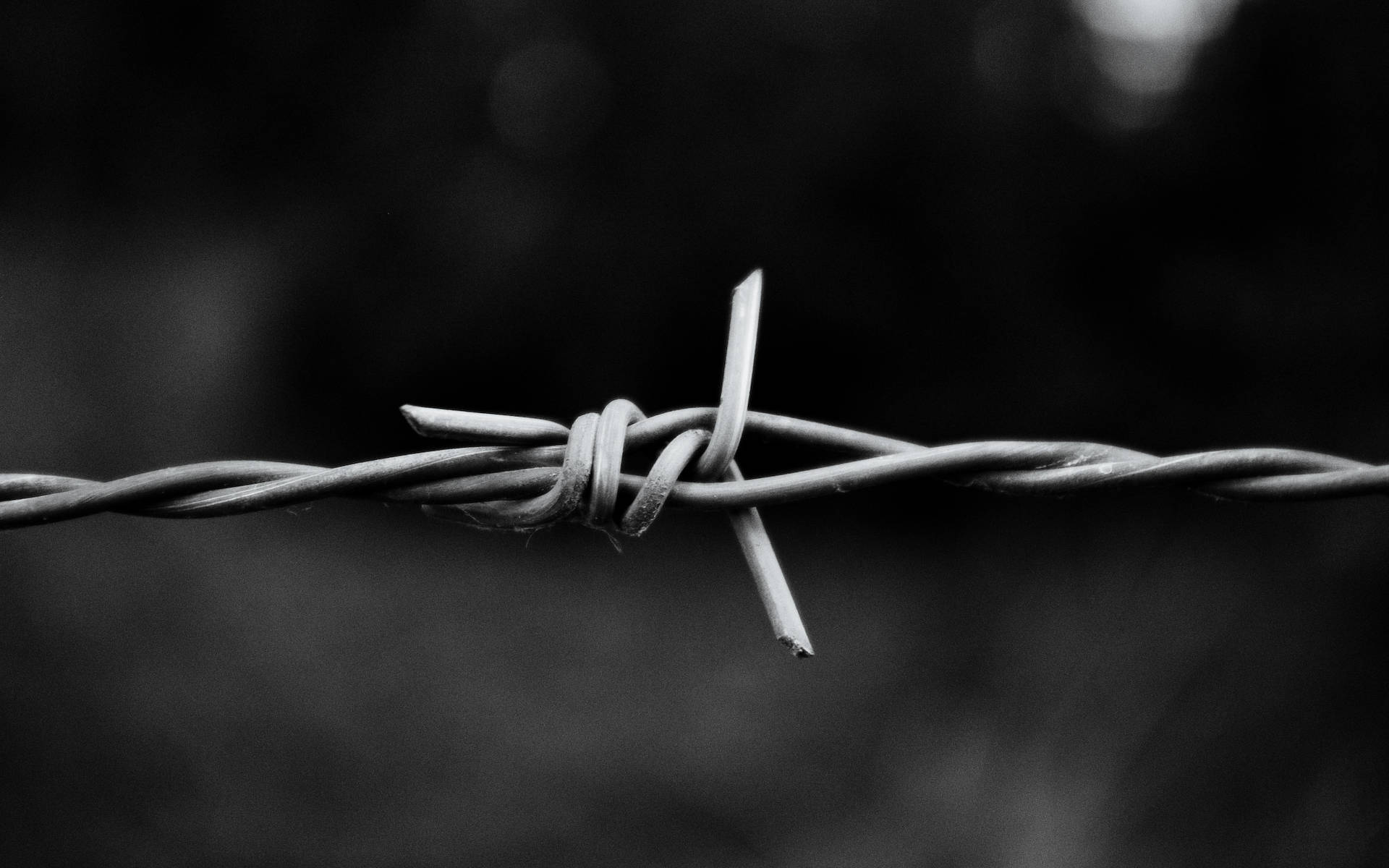 Black And White Hd Barbed Wire Background