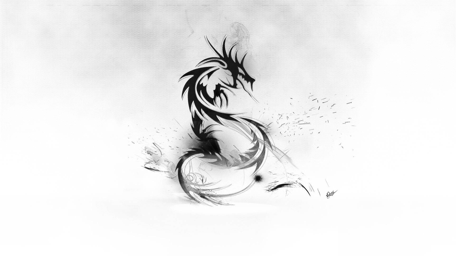 Black And White Hd Dragon Artwork