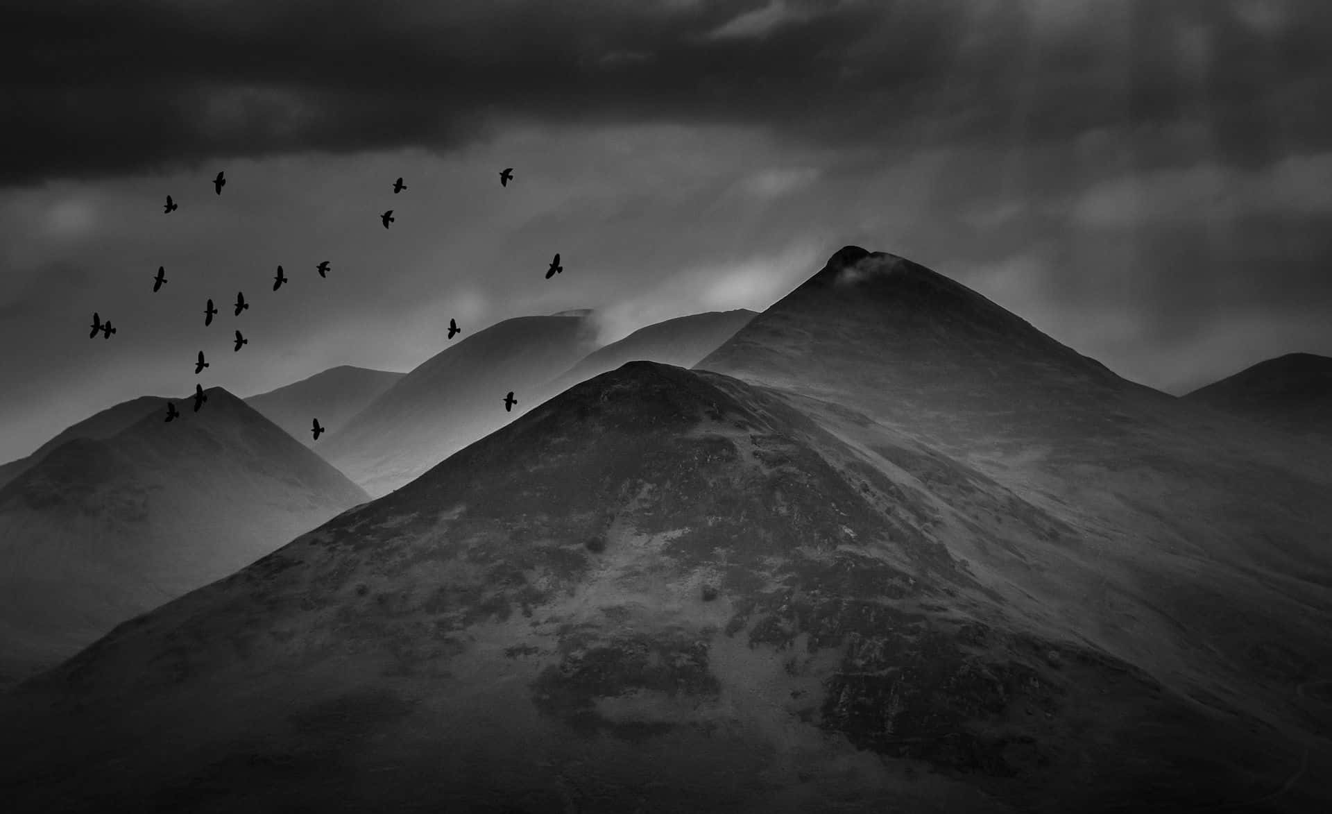 Black And White Hills Mountains Birds Background