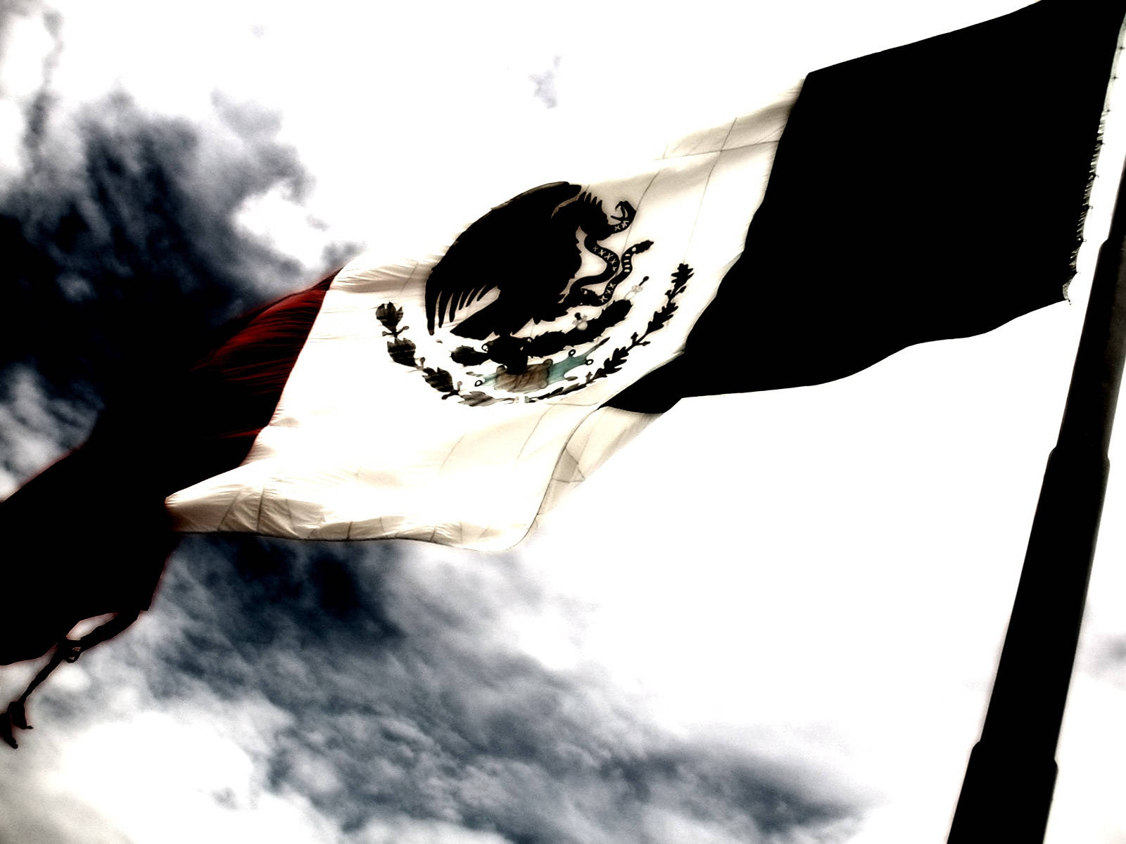 Black And White Mexico Flag Background