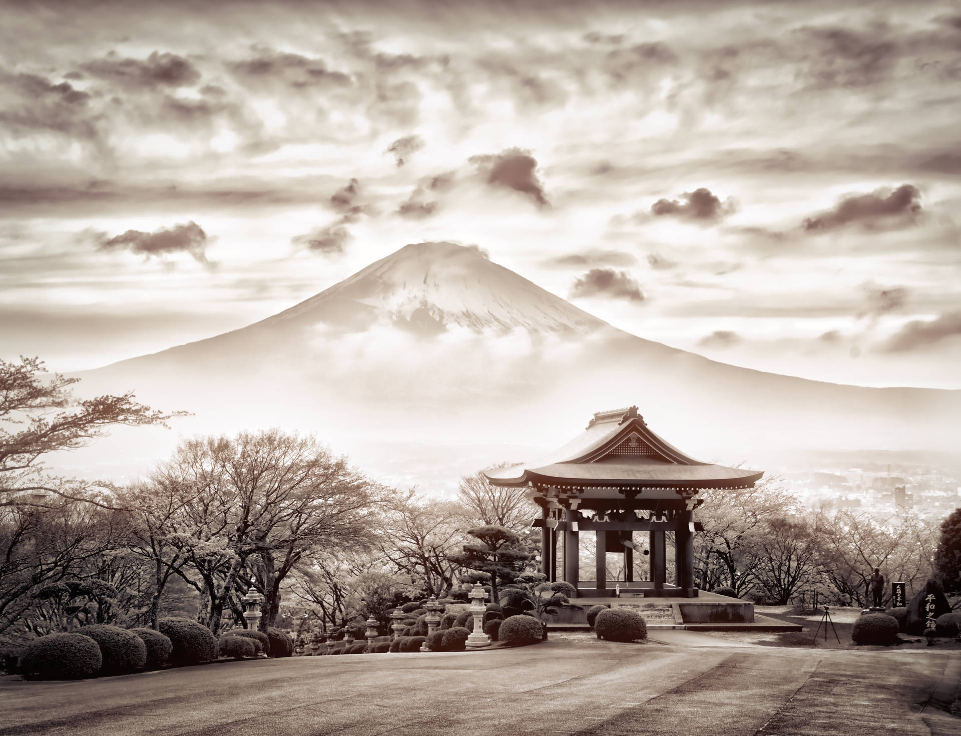 Black And White Mount Fuji Background