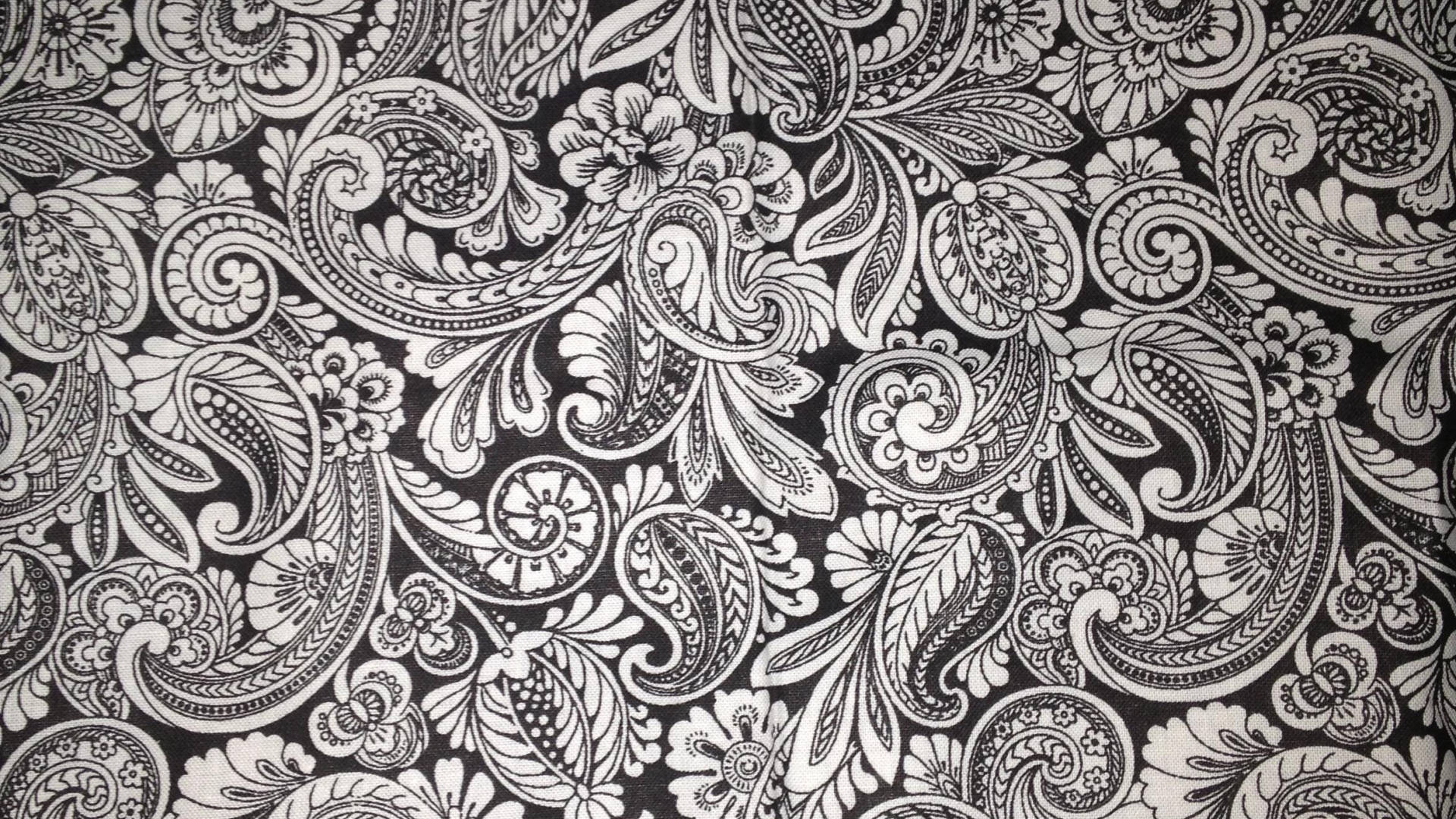 Black And White Paisley Print Background