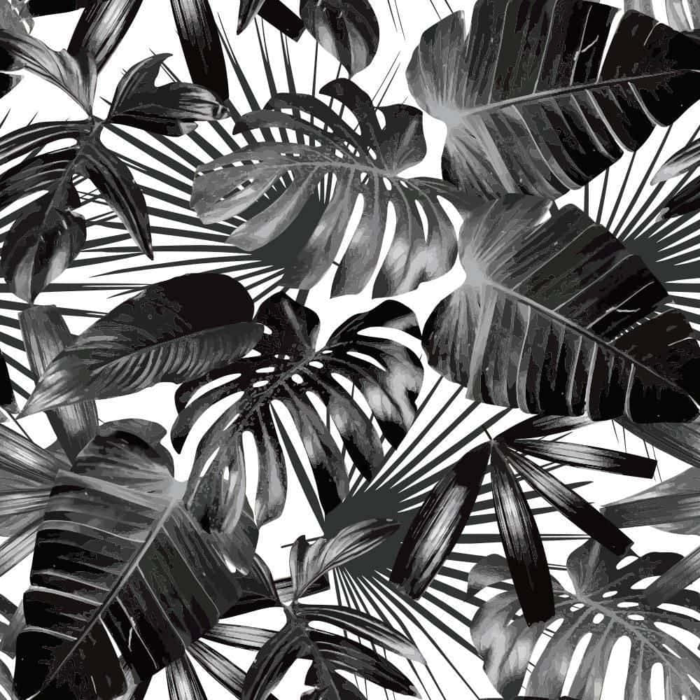Black And White Palm Tree And Tropical Leaves Background