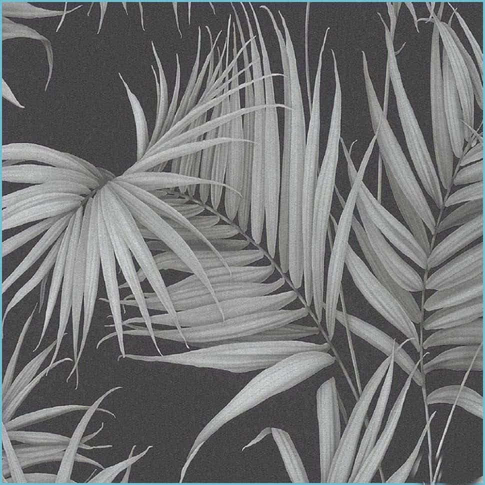 Black And White Palm Tree Leaves Background