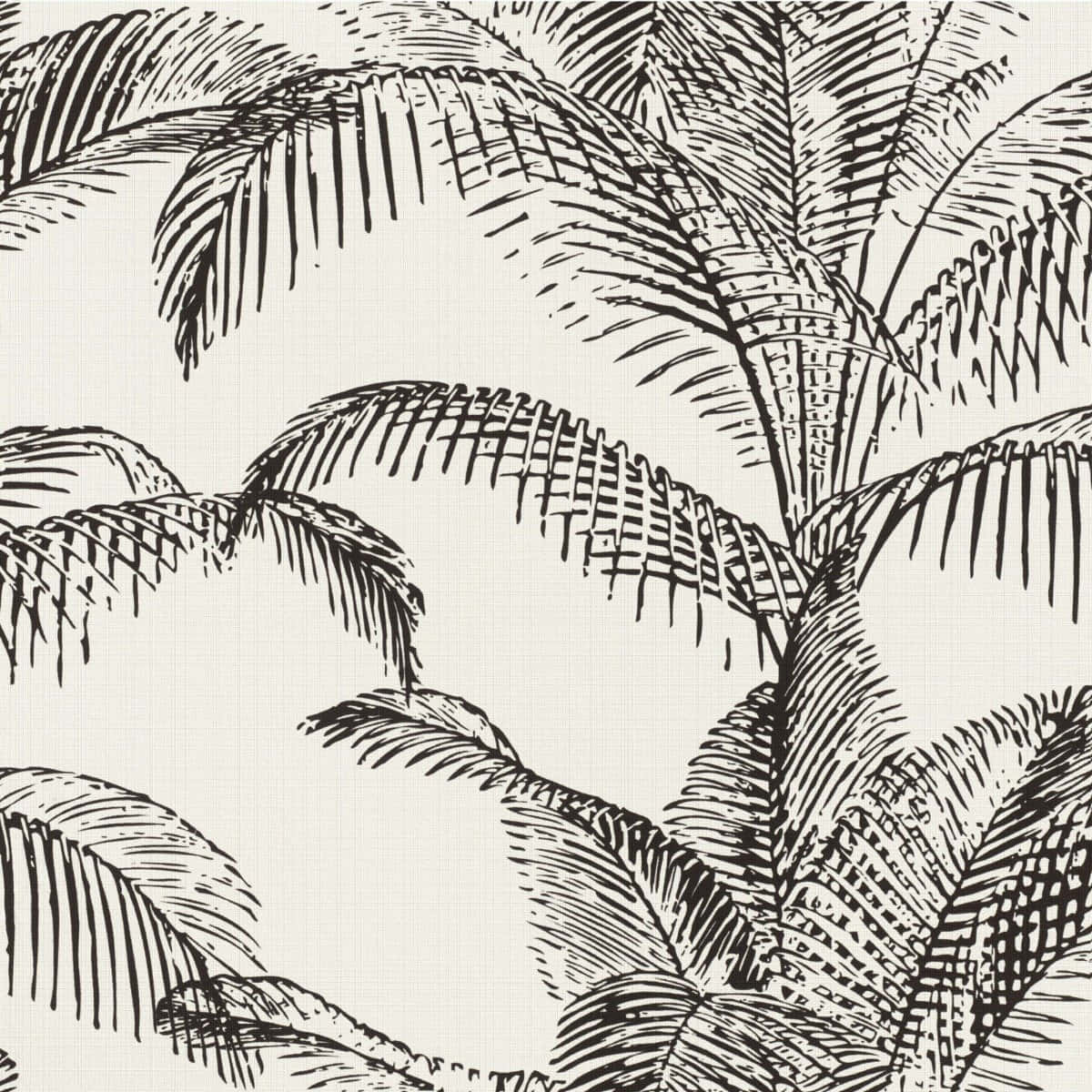 Black And White Palm Trees Line Art Background