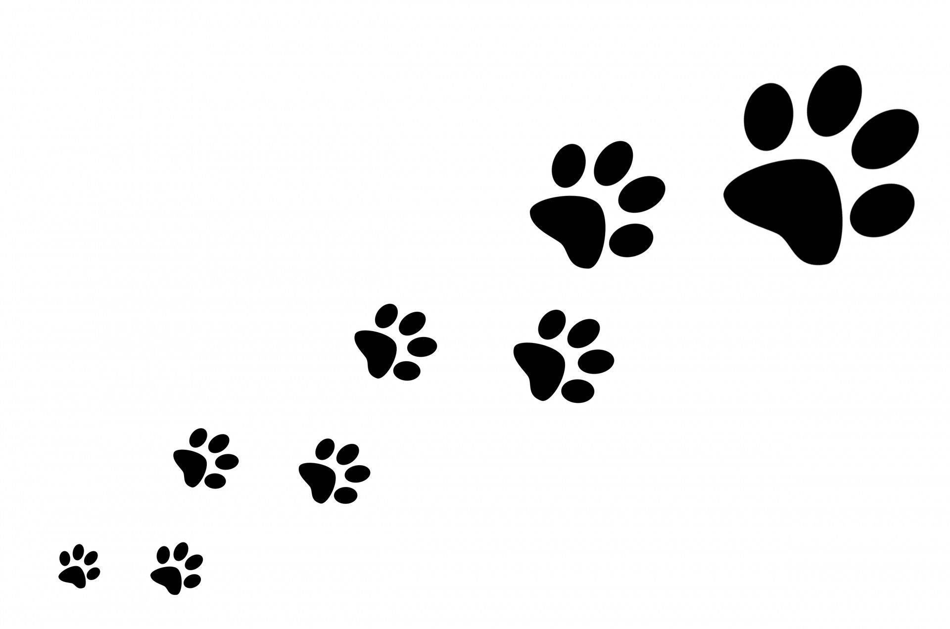 Black And White Paw Print Background