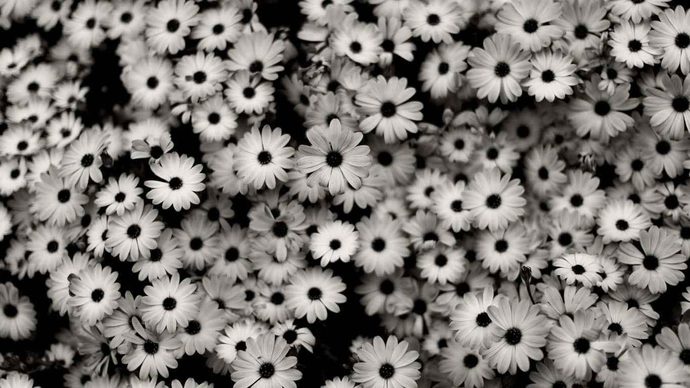 Black And White Photo Of A Bunch Of Flowers Background