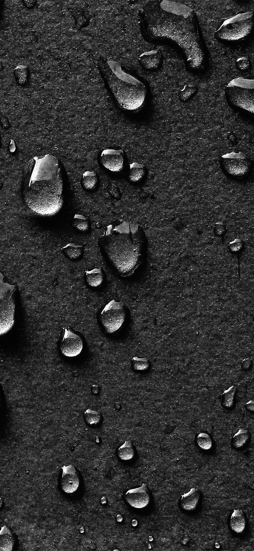 Black And White Photo Of Water Droplets On A Surface Background