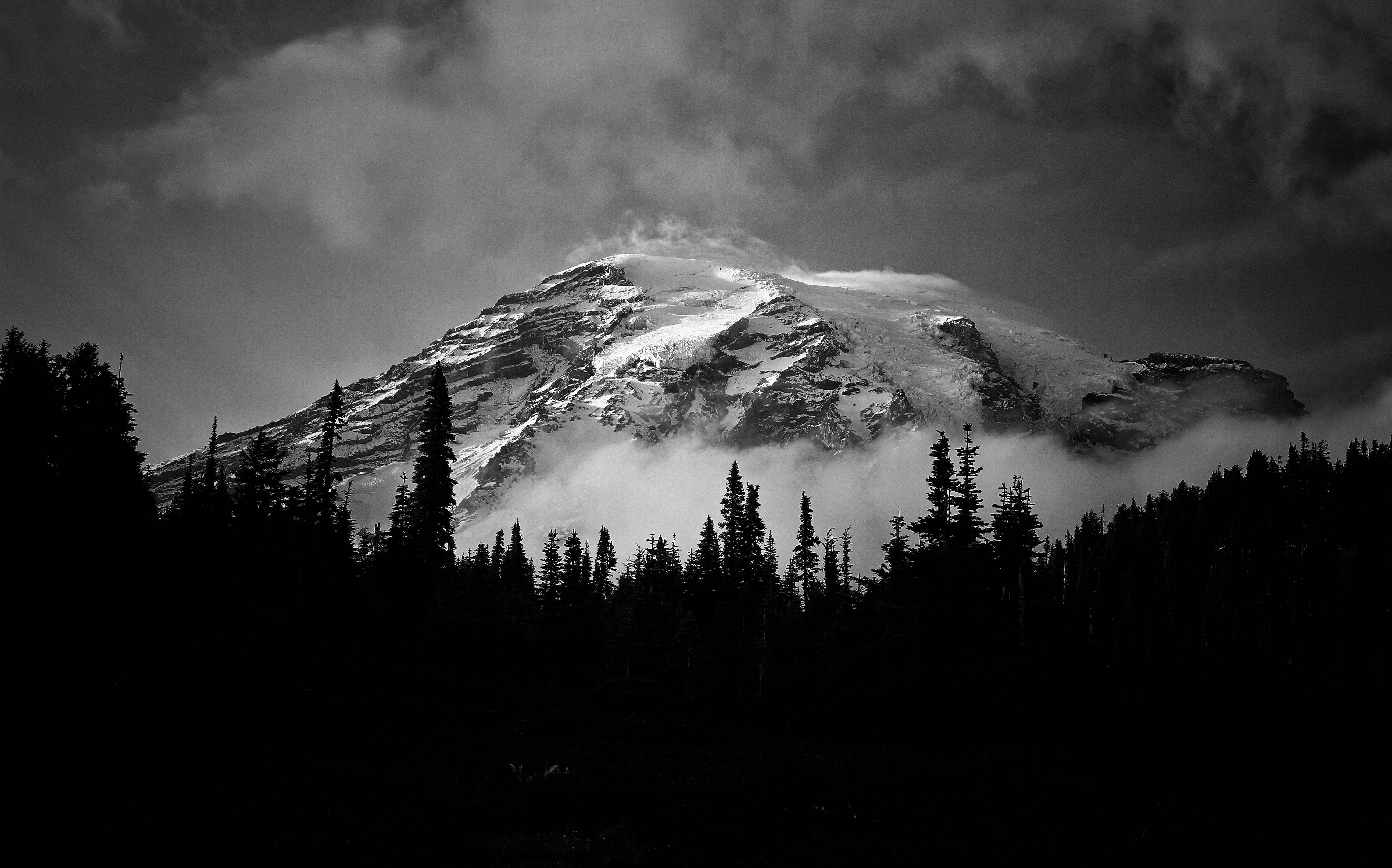 Black And White Photography Mountain And Forest Background